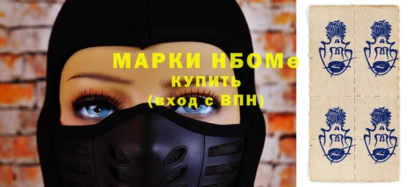 шишки Няндома