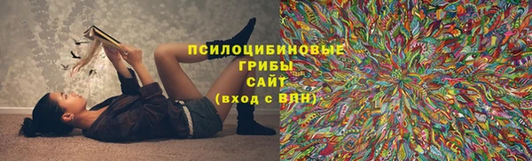 винт Алексин