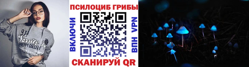 Псилоцибиновые грибы Psilocybe  Сосновоборск 