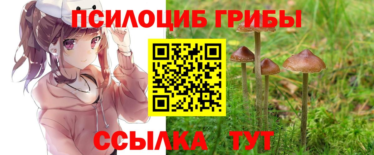 Псилоцибиновые грибы прущие грибы Сосновоборск