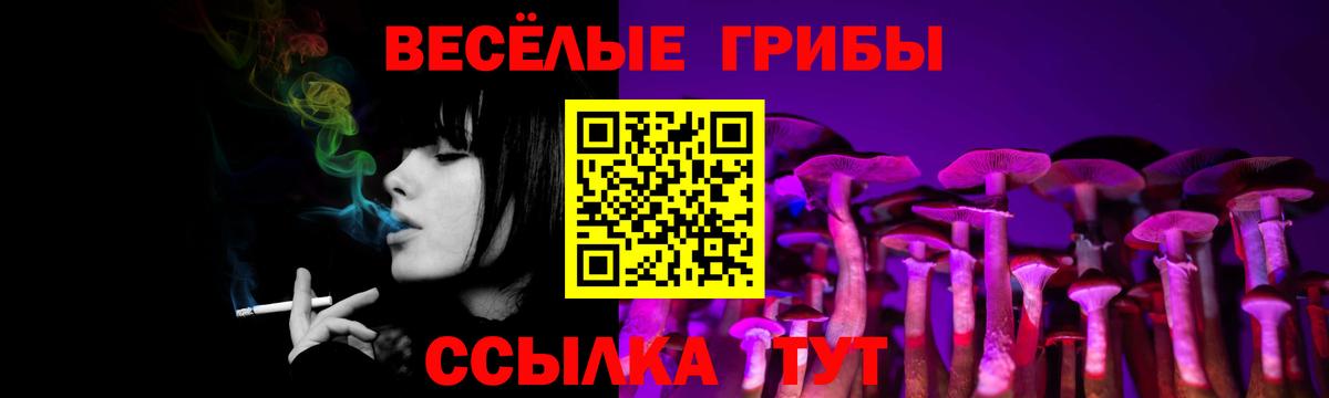 Сосновоборск  Псилоцибиновые грибы прущие грибы  Вход с VPN 