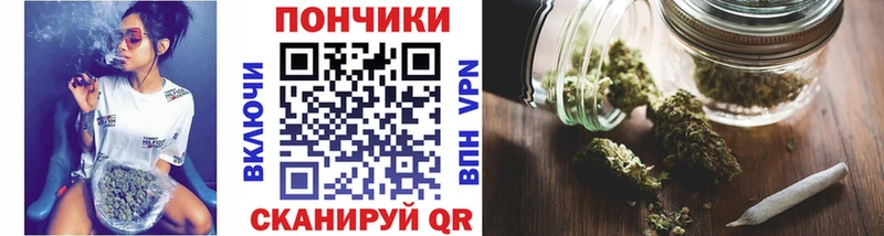 магазин продажи наркотиков  omg зеркало  Каннабис гибрид  Сосновоборск 